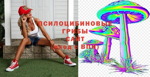 мяу мяу мука Баксан